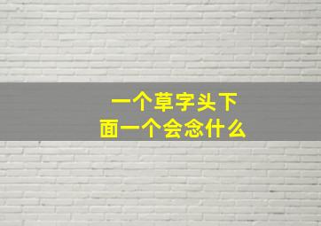 一个草字头下面一个会念什么