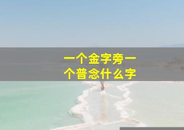 一个金字旁一个普念什么字