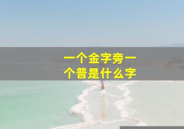 一个金字旁一个普是什么字