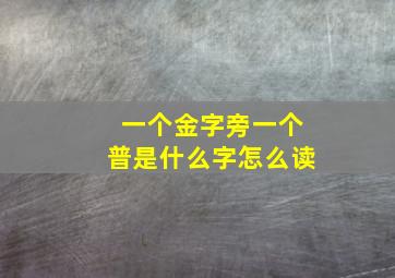 一个金字旁一个普是什么字怎么读