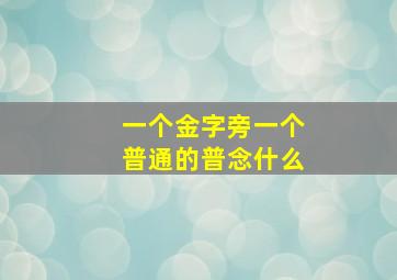 一个金字旁一个普通的普念什么