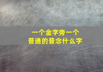 一个金字旁一个普通的普念什么字