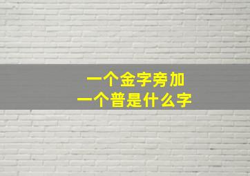 一个金字旁加一个普是什么字