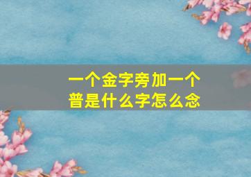 一个金字旁加一个普是什么字怎么念