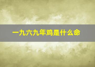 一九六九年鸡是什么命