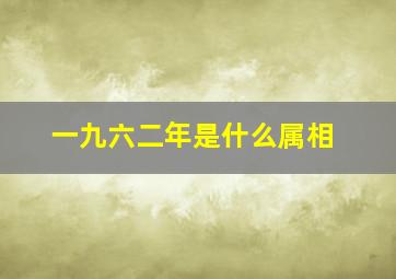 一九六二年是什么属相