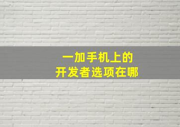 一加手机上的开发者选项在哪