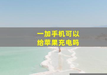 一加手机可以给苹果充电吗