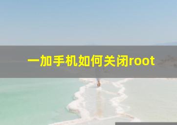 一加手机如何关闭root