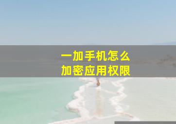 一加手机怎么加密应用权限