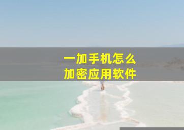 一加手机怎么加密应用软件