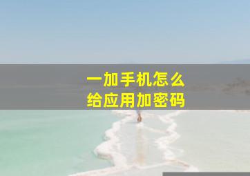 一加手机怎么给应用加密码