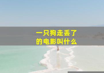 一只狗走丢了的电影叫什么