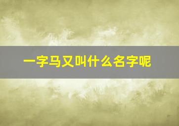 一字马又叫什么名字呢