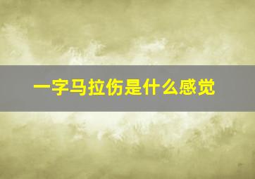 一字马拉伤是什么感觉