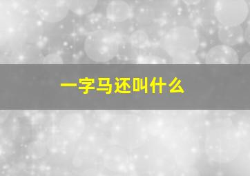 一字马还叫什么