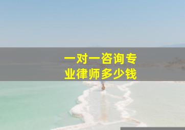 一对一咨询专业律师多少钱