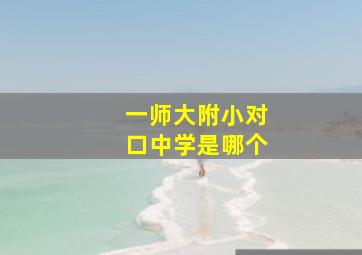 一师大附小对口中学是哪个