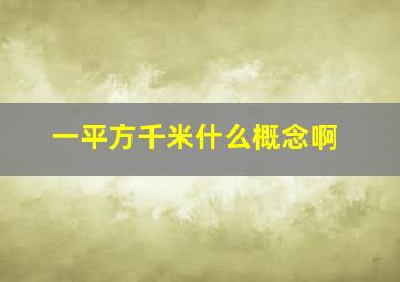 一平方千米什么概念啊