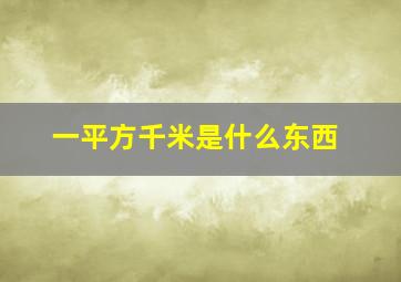 一平方千米是什么东西