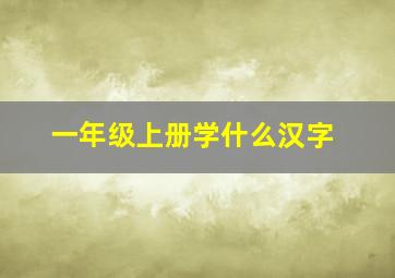 一年级上册学什么汉字