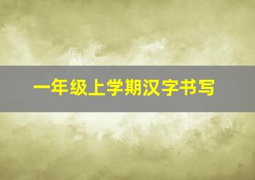 一年级上学期汉字书写