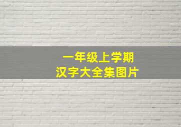 一年级上学期汉字大全集图片