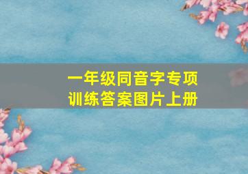 一年级同音字专项训练答案图片上册