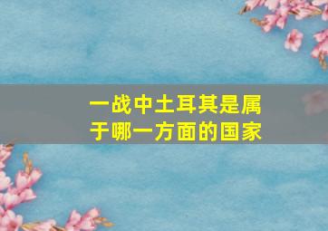 一战中土耳其是属于哪一方面的国家