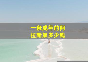 一条成年的阿拉斯加多少钱