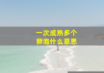 一次成熟多个卵泡什么意思