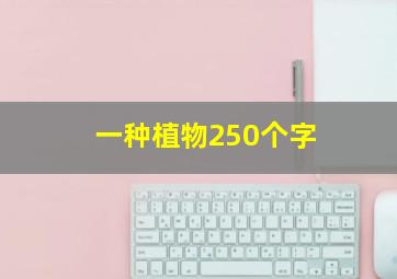 一种植物250个字