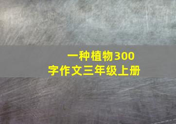 一种植物300字作文三年级上册