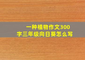 一种植物作文300字三年级向日葵怎么写