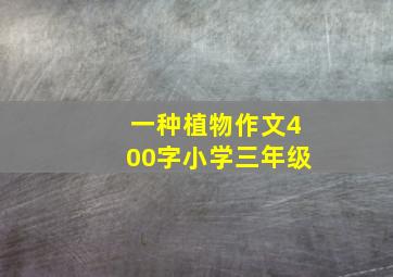 一种植物作文400字小学三年级