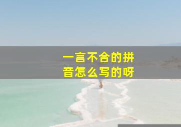 一言不合的拼音怎么写的呀