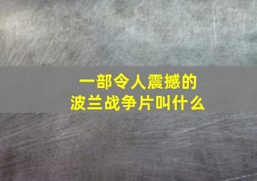 一部令人震撼的波兰战争片叫什么