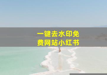 一键去水印免费网站小红书