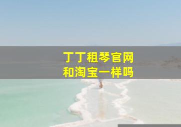 丁丁租琴官网和淘宝一样吗