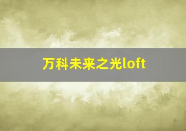 万科未来之光loft