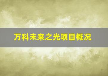 万科未来之光项目概况