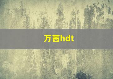 万茜hdt