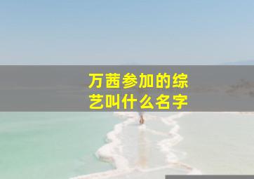 万茜参加的综艺叫什么名字