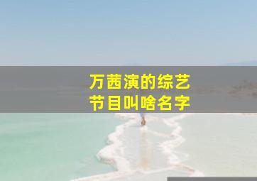 万茜演的综艺节目叫啥名字