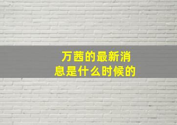 万茜的最新消息是什么时候的