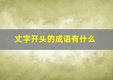 丈字开头的成语有什么