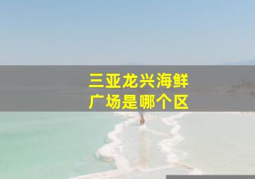 三亚龙兴海鲜广场是哪个区