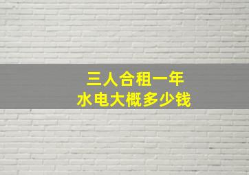 三人合租一年水电大概多少钱