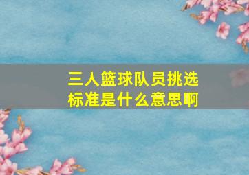 三人篮球队员挑选标准是什么意思啊