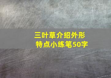 三叶草介绍外形特点小练笔50字